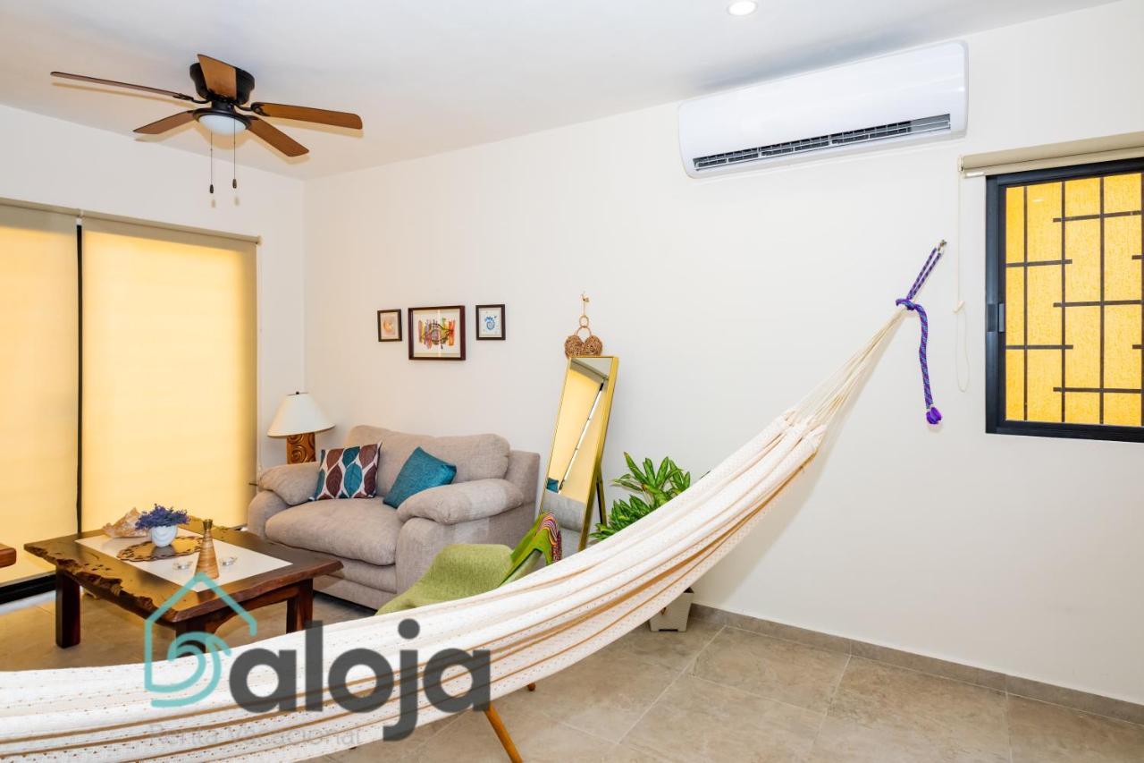 Appartement Ideal Estudios Calidos Y Acogedores *