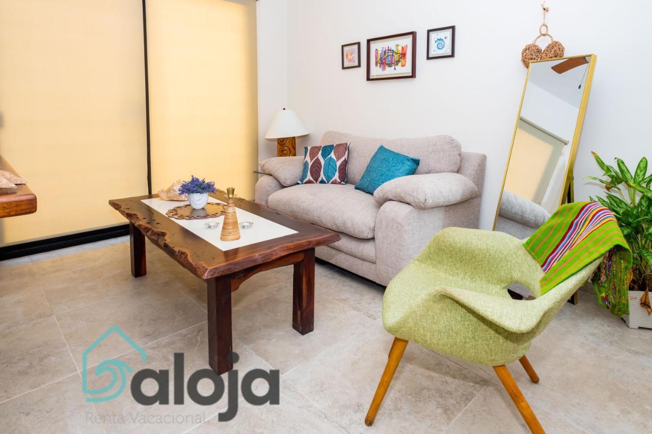 Ideal Estudios Calidos Y Acogedores Appartement *